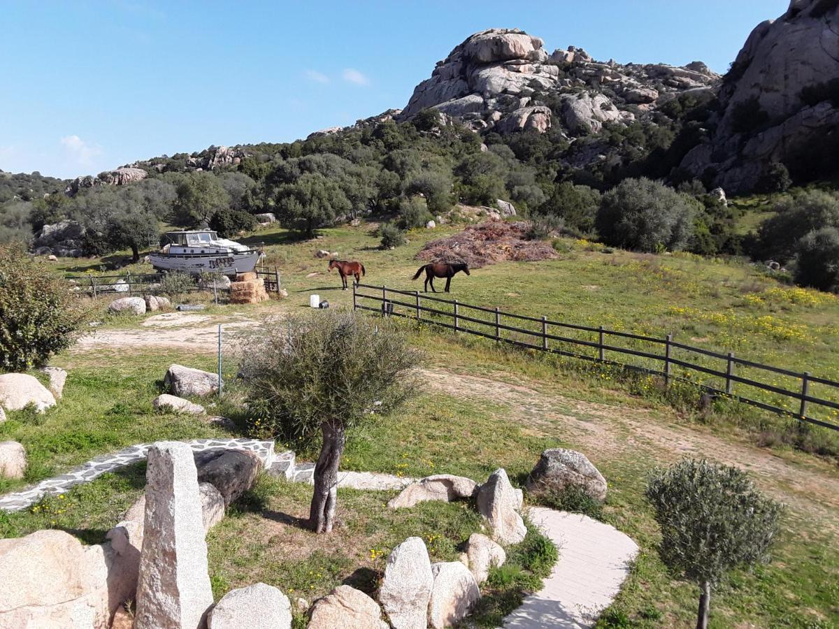 אביאדורי Lu Lisandru מראה חיצוני תמונה